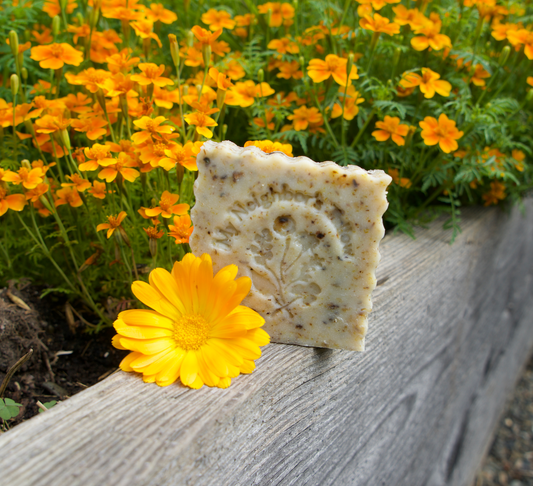 Calendula Tallow Soap  - 100% Fragrance Free