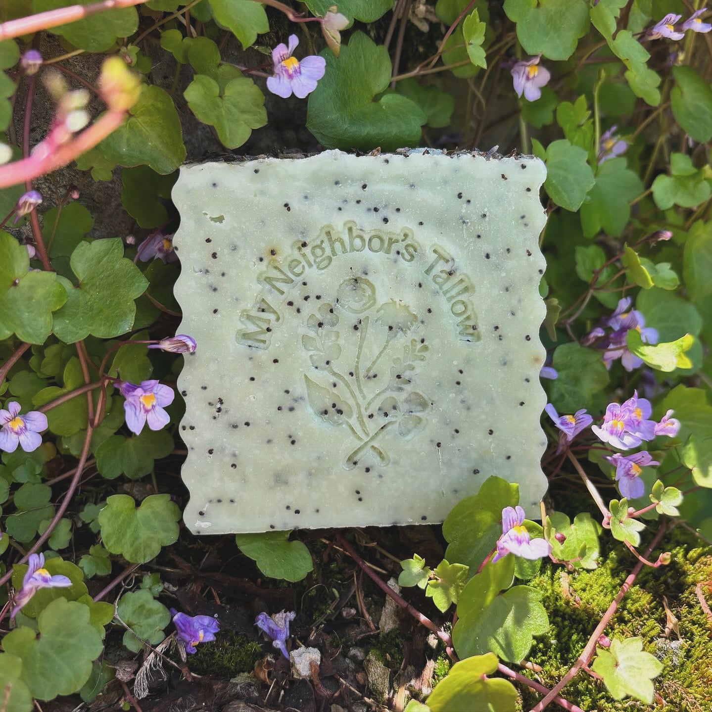 Blue Tansy, Raw Honey & Poppy Seed Tallow Soap