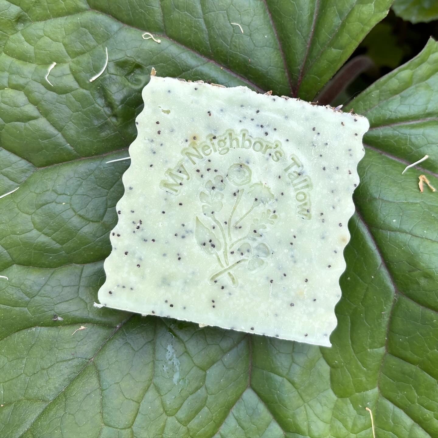 Blue Tansy, Raw Honey & Poppy Seed Tallow Soap