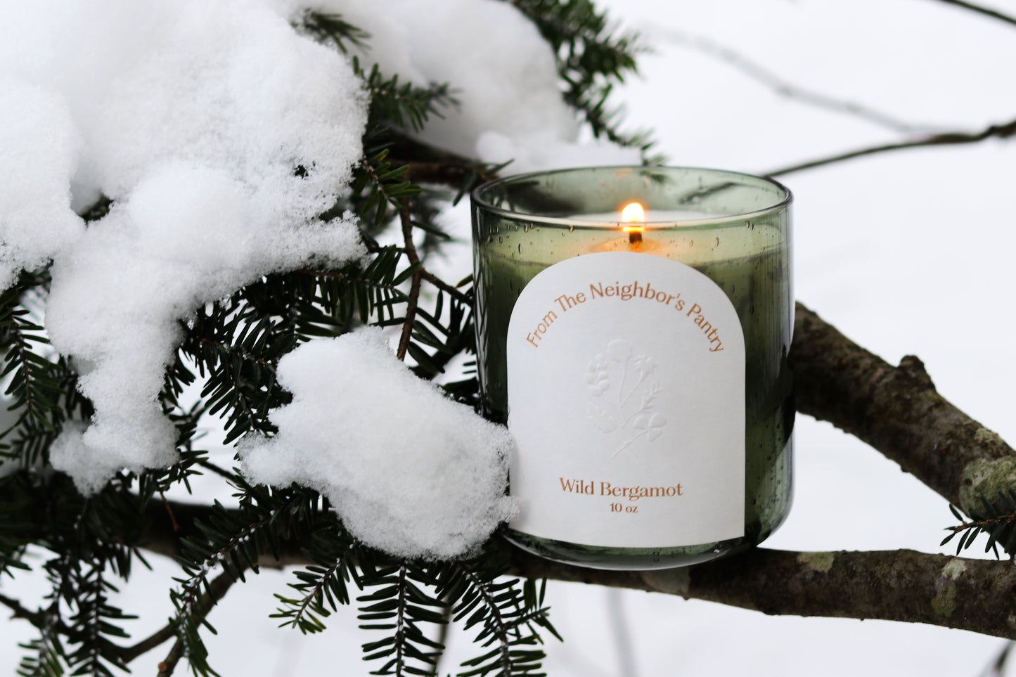 Wild Bergamot Tallow Candle