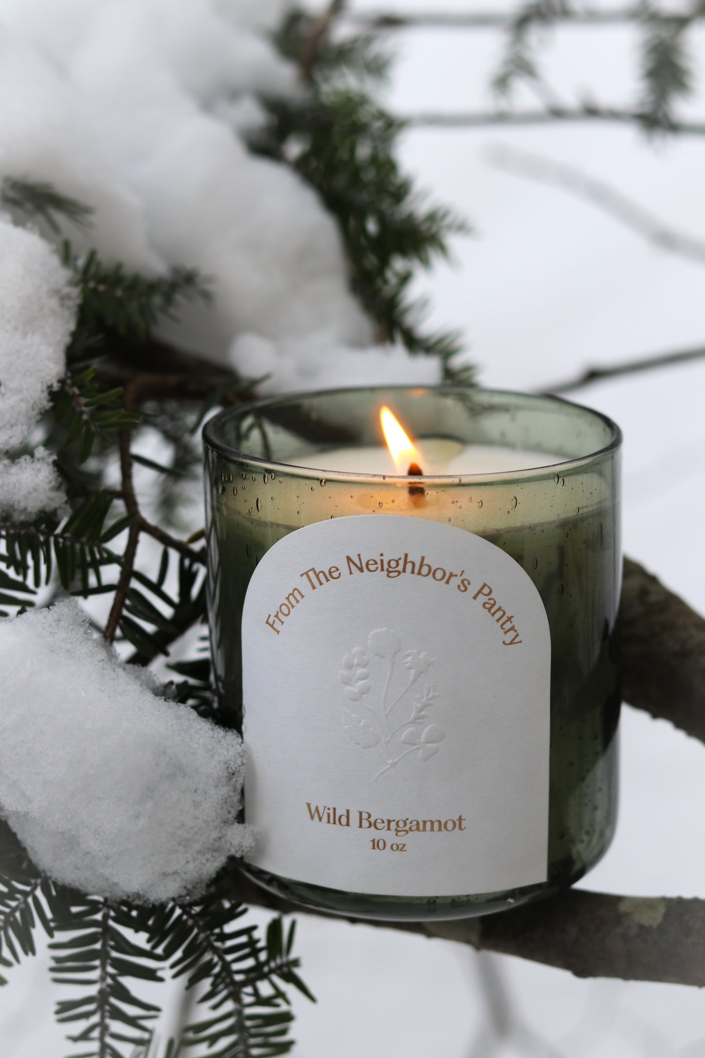 Wild Bergamot Tallow Candle