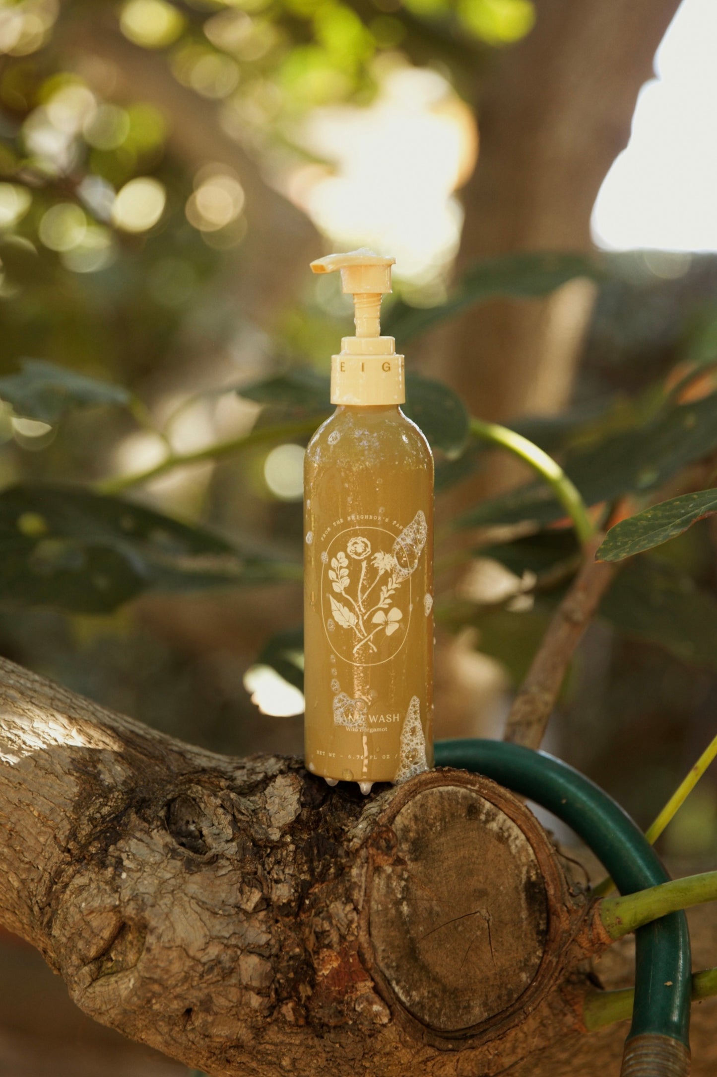 Wild Bergamot Hand Wash